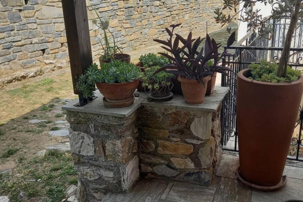 Pelion Cottage Miléai Dış mekan fotoğraf