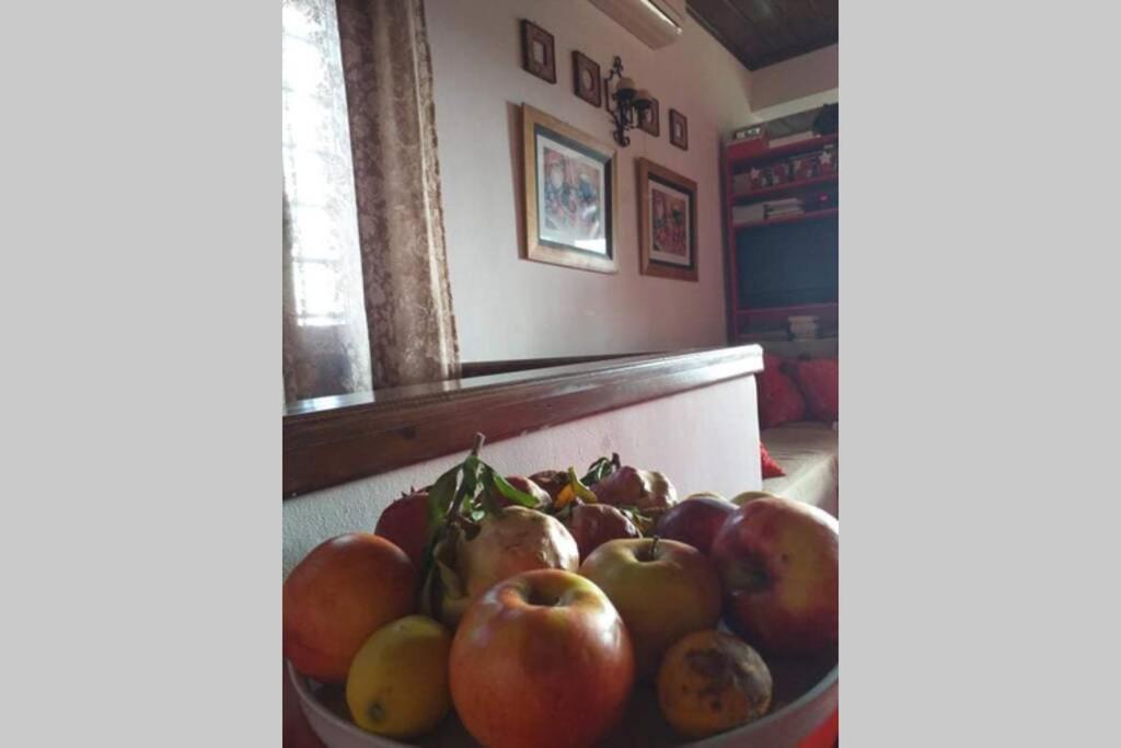 Pelion Cottage Miléai Dış mekan fotoğraf